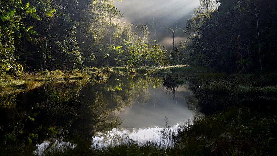 Teich im Amazonas-Regenwald zwischen Itaituba und Pimental, Bundesstaat Pará, Brasilien.