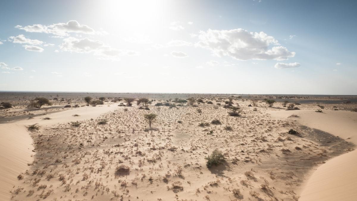 Dürre: vertrocknete Landschaft in Kenia © Brockmann | Misereor