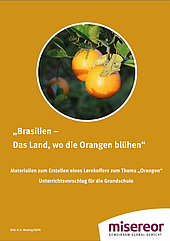 „Brasilien – Das Land, wo die Orangen blühen“ – Lernkoffer für die Grundschule