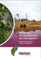 Factsheet "Misereor-Partnerprojekte im Amazonasregenwald"