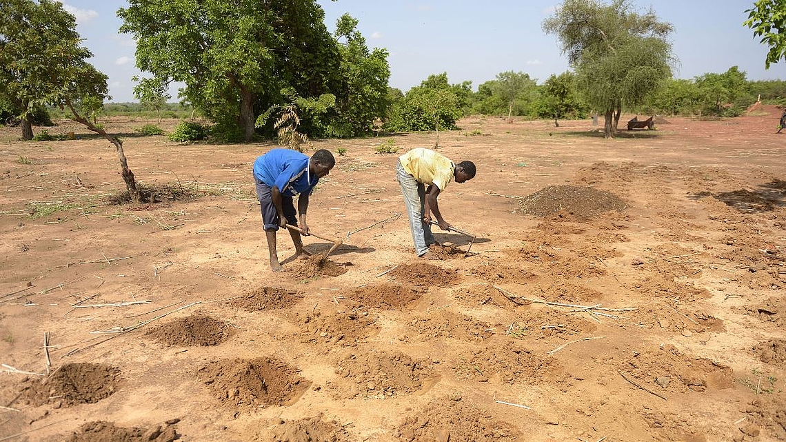 Männer bei der Feldarbeit in Burkina Faso