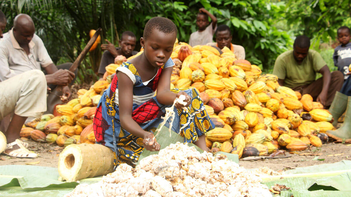 Eine junge Frau hilft bei der Kakao-Verarbeitung in Afrika.