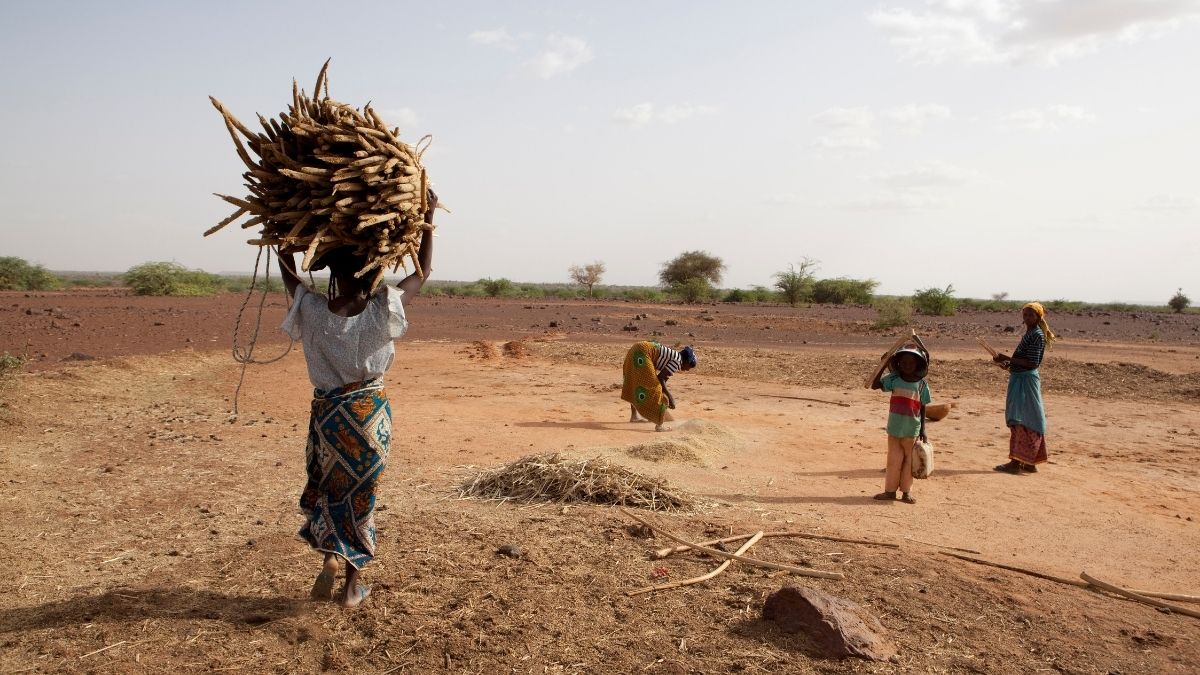 Frauen bei Feldarbeit im Niger