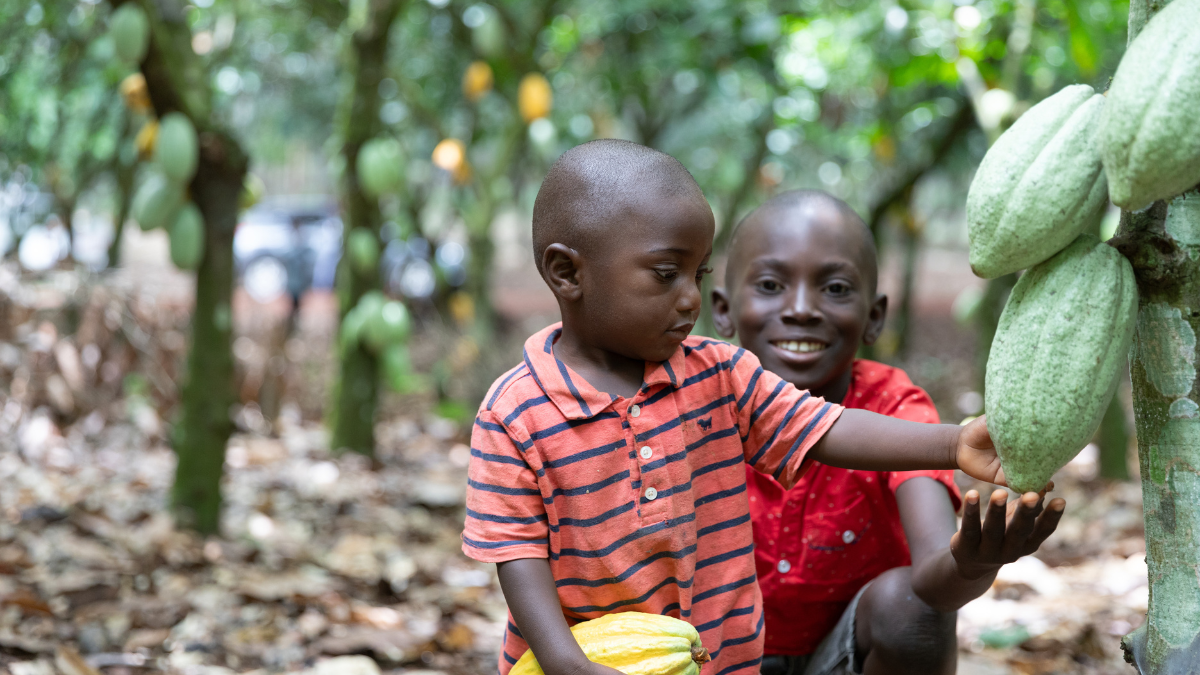 Zwei Jungs neben einem Kakaobaum