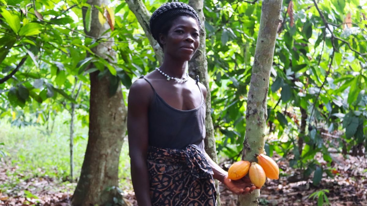 Kakaoanbau in der Elfenbeinküste: Eine Bäuerin zeigt reife Kakaobohnen © INADES